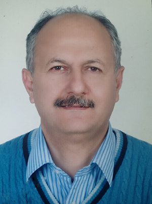 عمادالدین امیری